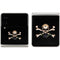 Alchemy Skull and Crossbones Galaxy Z Flip3 5G Skin